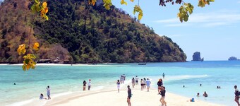 Swiss Chalet Garden Pool Resort