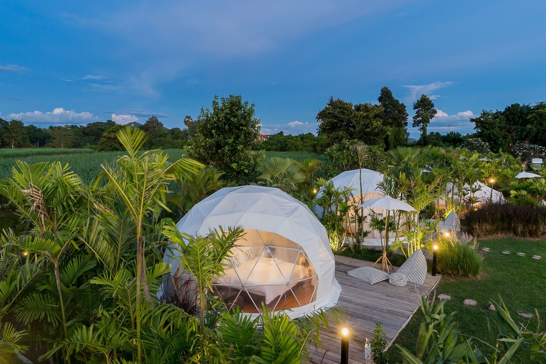 Glamping Dome | Vista desde la habitación