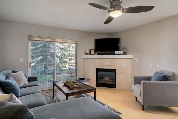 TV, fireplace, stereo