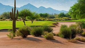 Wüstenlandschaft mit Kaktus, Bäumen und einem Golfplatz.