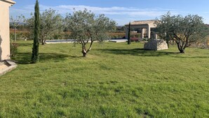 A well-maintained garden with olive trees, a pergola, and a stone structure.