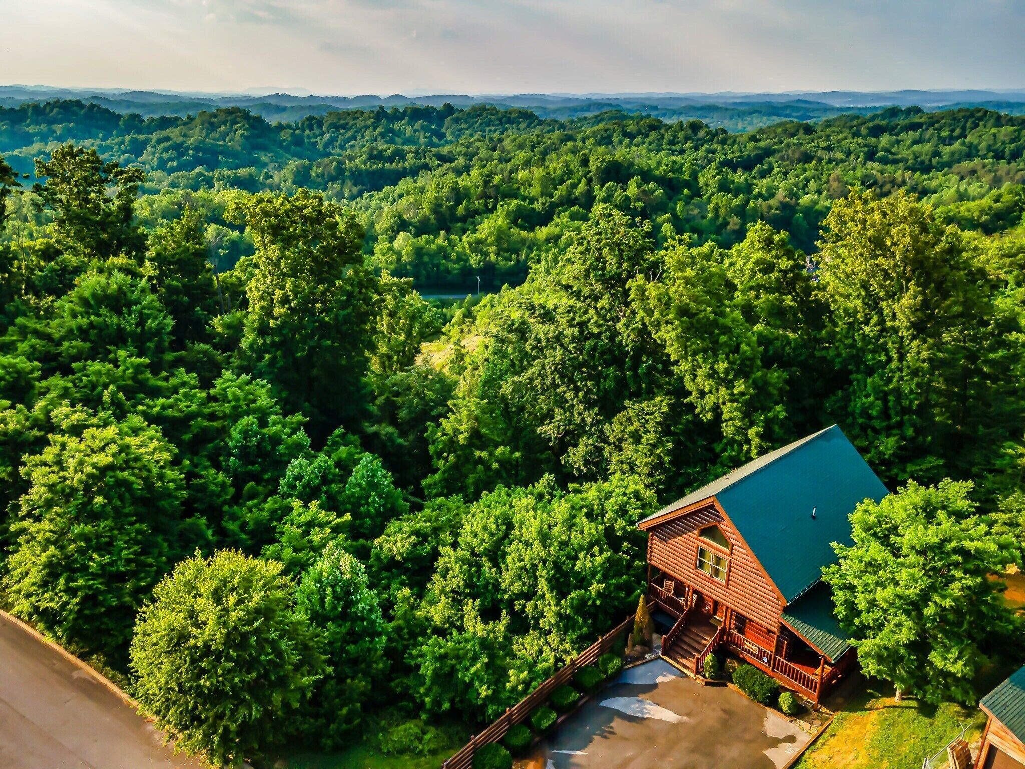 A cabin with a green roof surrounded by dense forest.