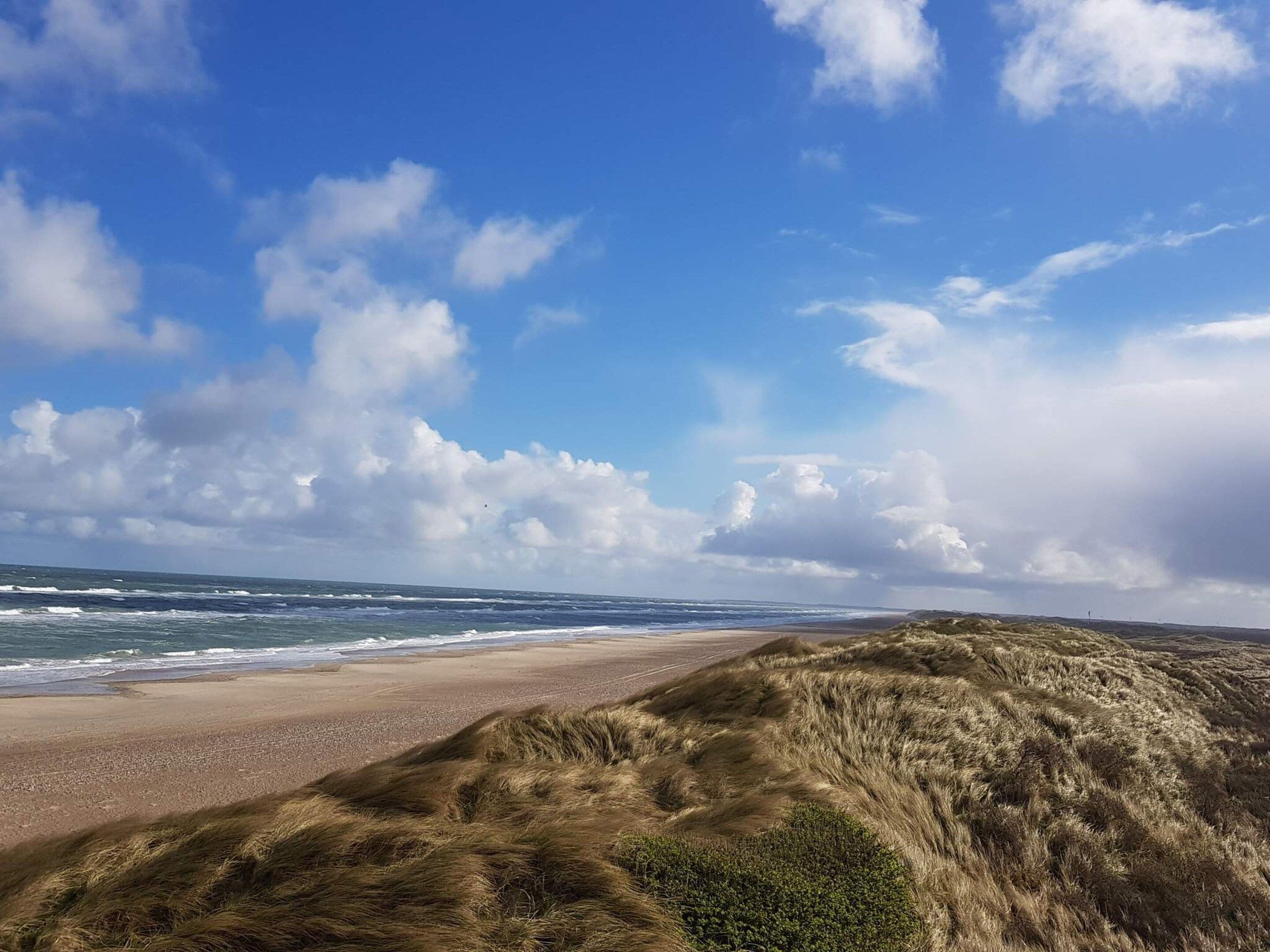Una playa con dunas y el océano.