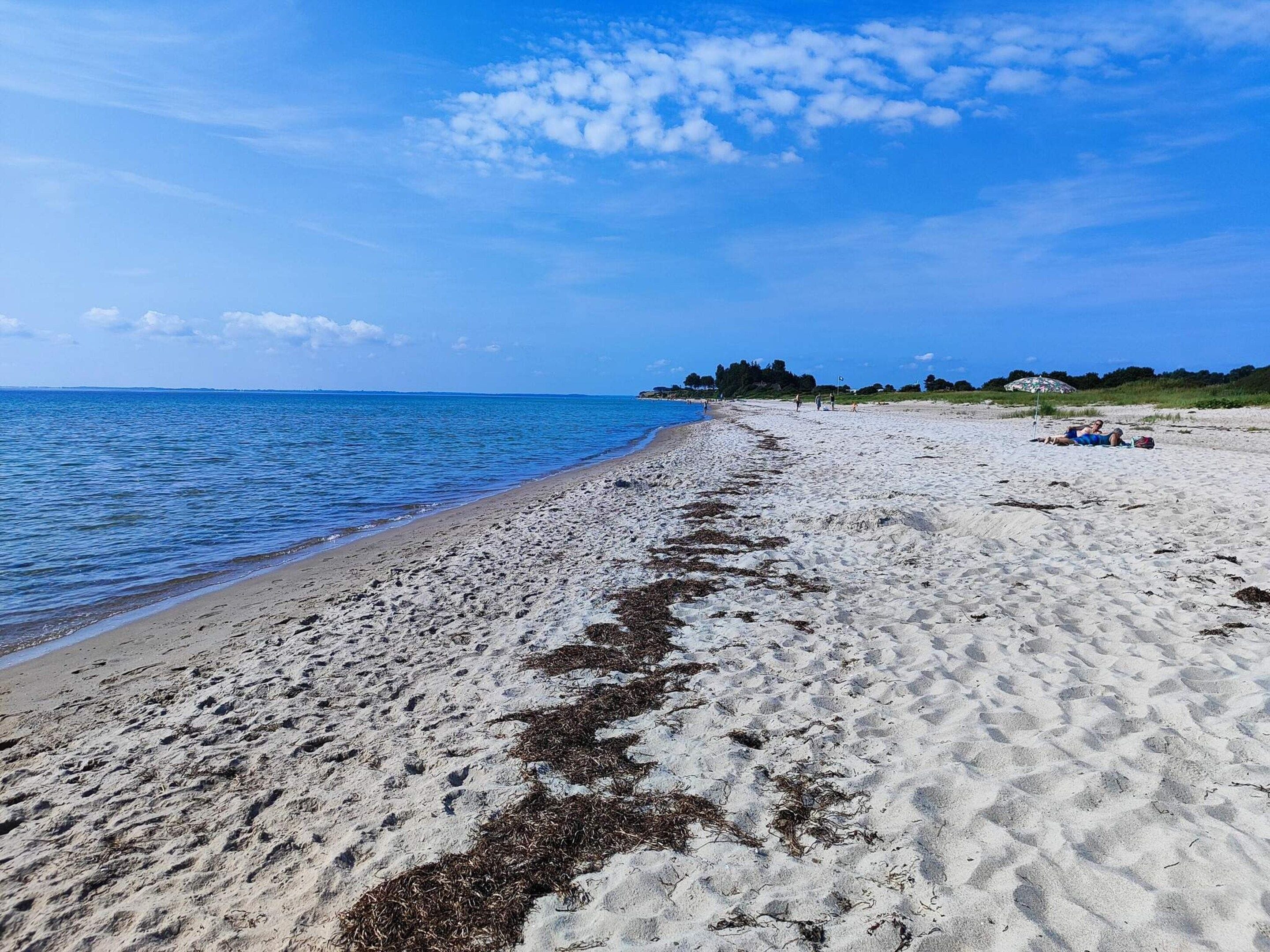 A sandy beach with seaweed patches, a clear sky, and a distant shoreline with greenery.