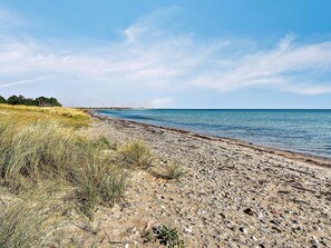 해변