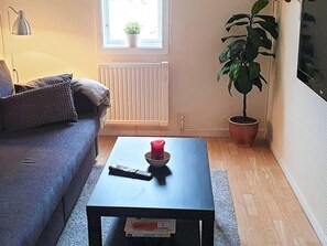 A living room with a sofa, a coffee table, a potted plant, a radiator, and a window with a plant on it. - 6 Person Holiday Home in Bollnas (Vallsta)