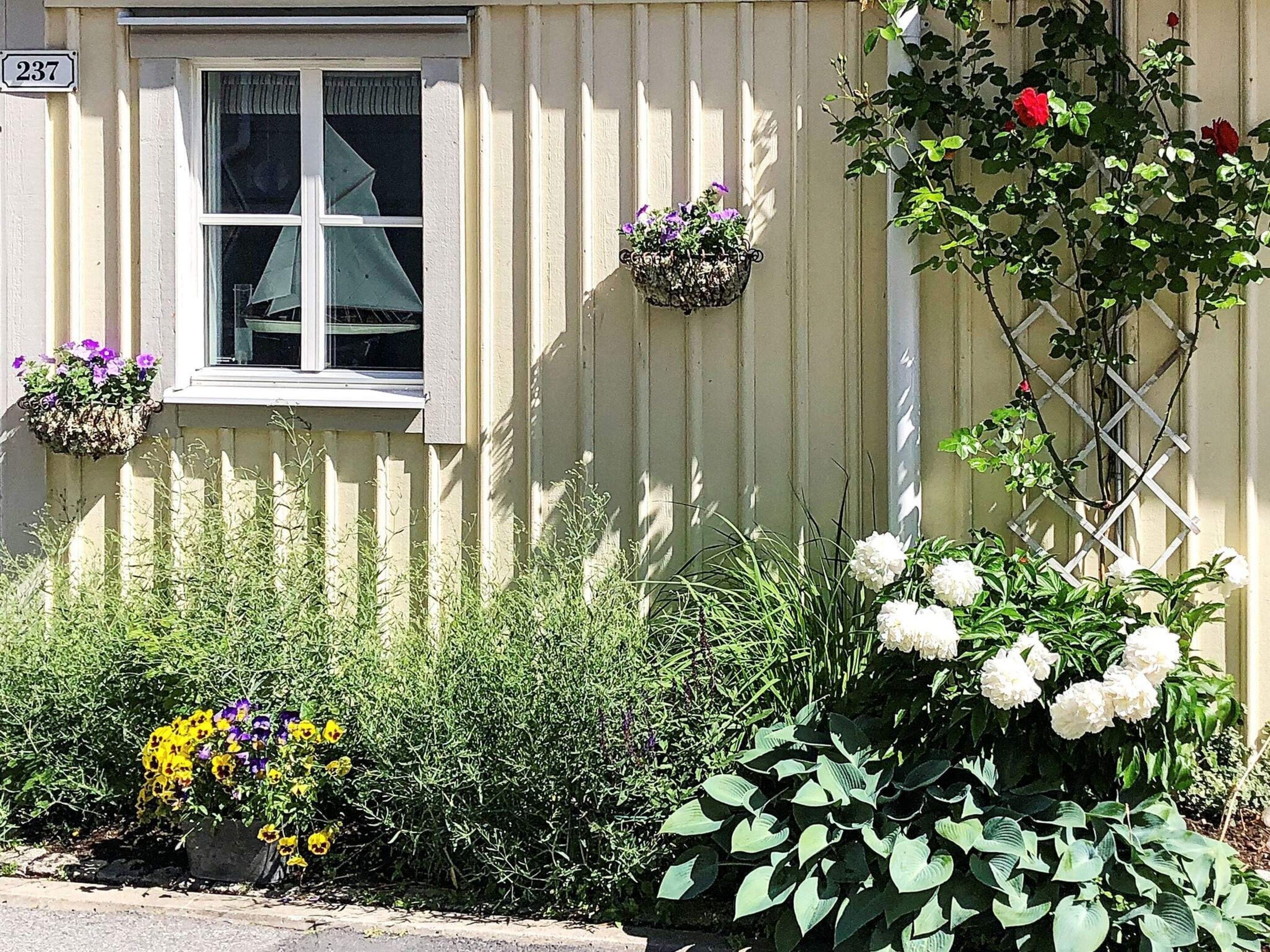 Eksteriør