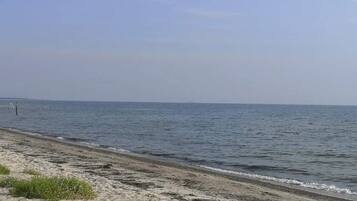 A beach with a sandy shore and calm water.