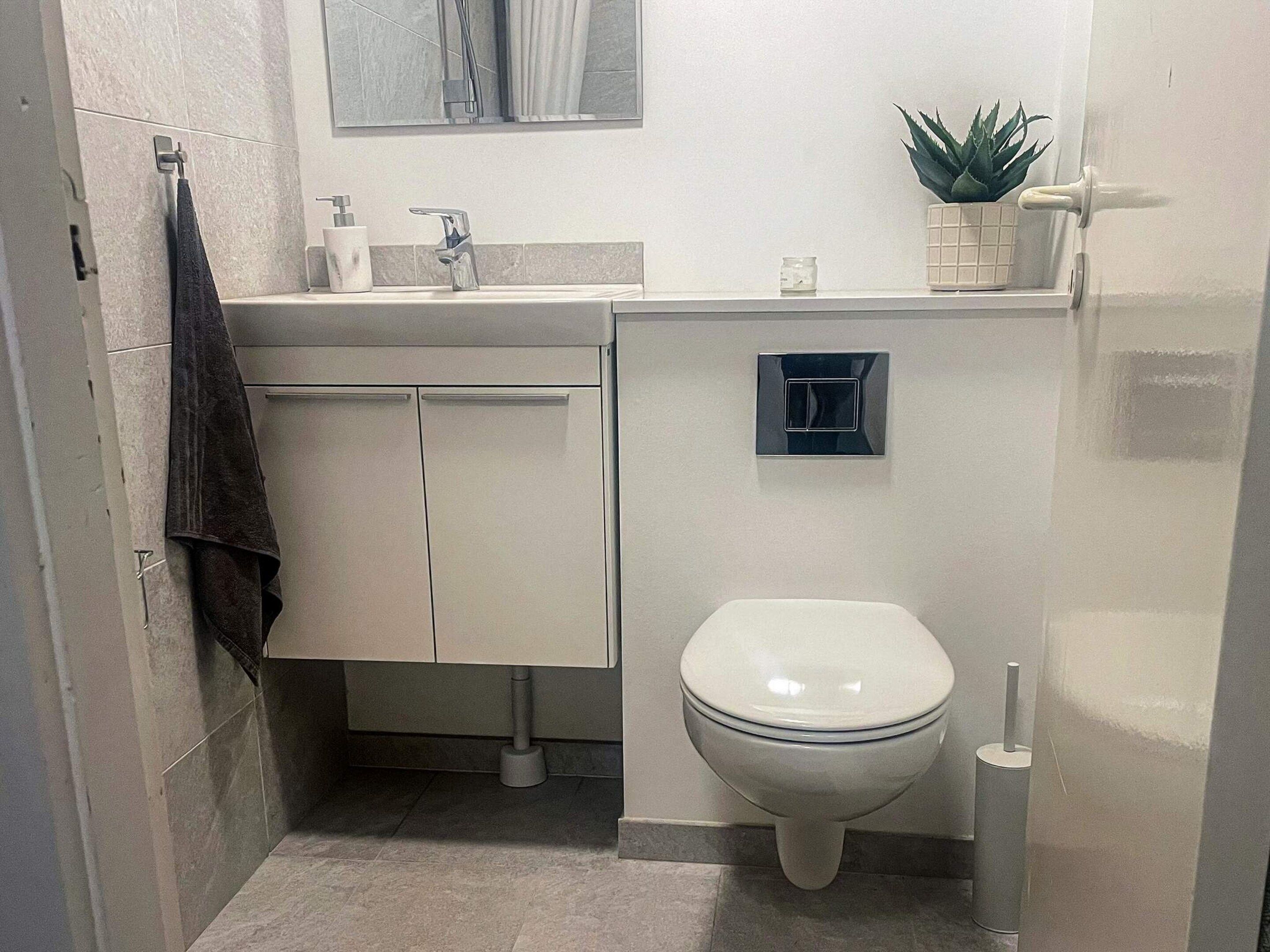 A bathroom with a toilet, a sink with a mirror above it, a towel hanging on a rack, and a small potted plant on the countertop.
