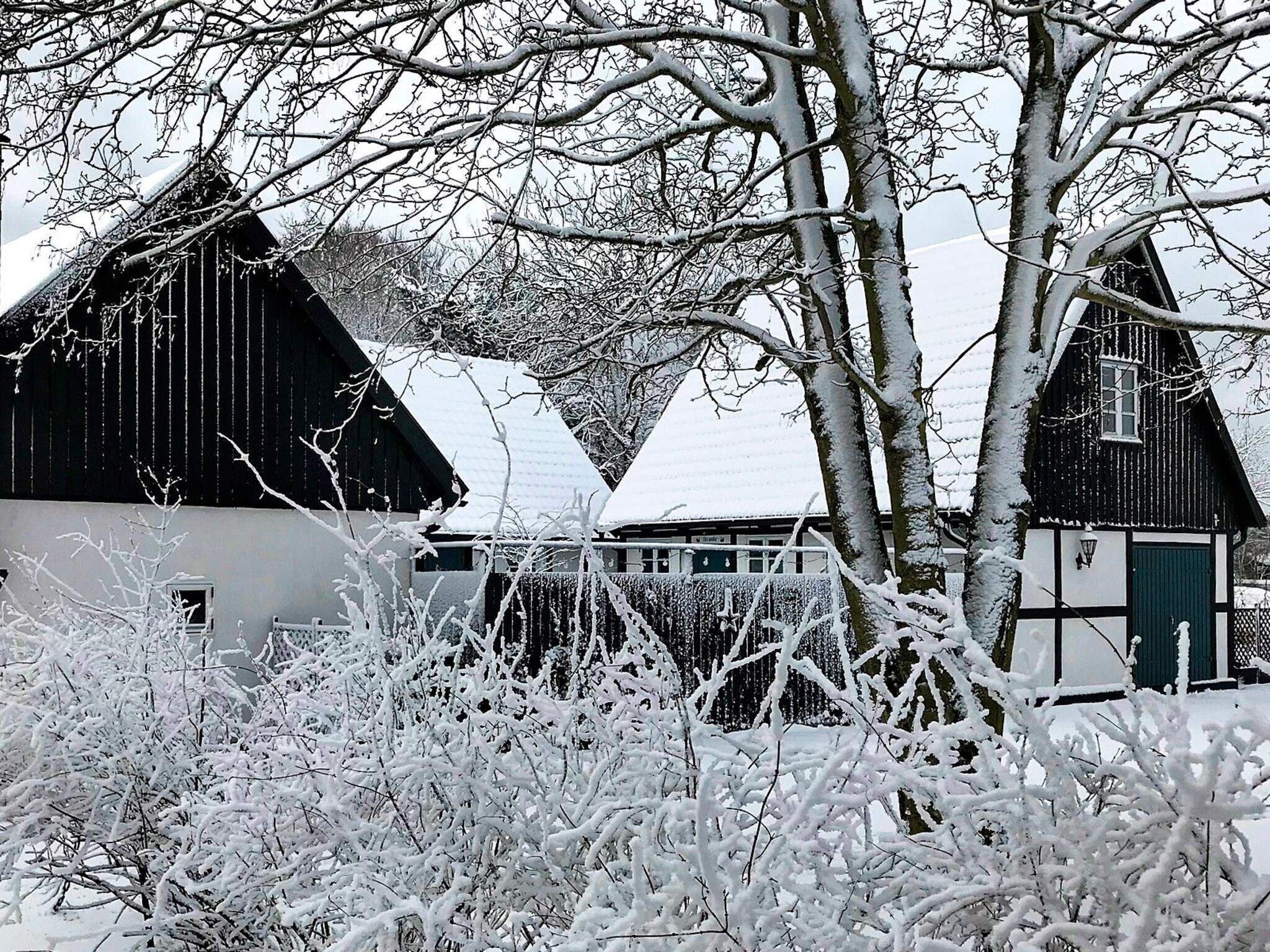 Eksteriør