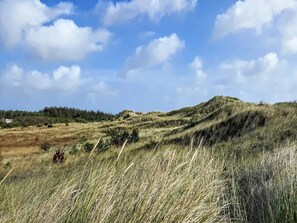 Miscellaneous - 6 Person Holiday Home in Albaek (Aalbaek)