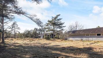 House | View from property