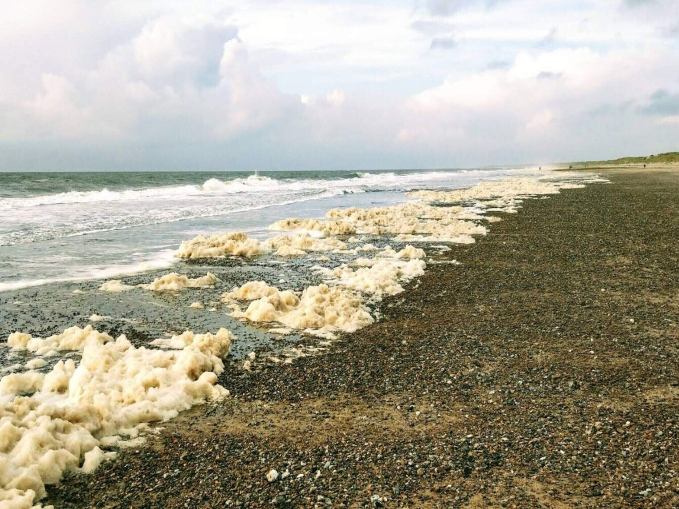 하우스 | 수변   전망