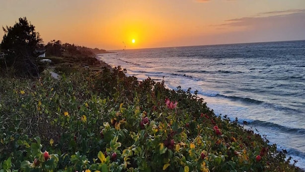 A coastal sunset view with vegetation in the foreground. - 6 Person Holiday Home in Gilleleje (Gilleleje)