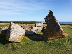 House | Miscellaneous