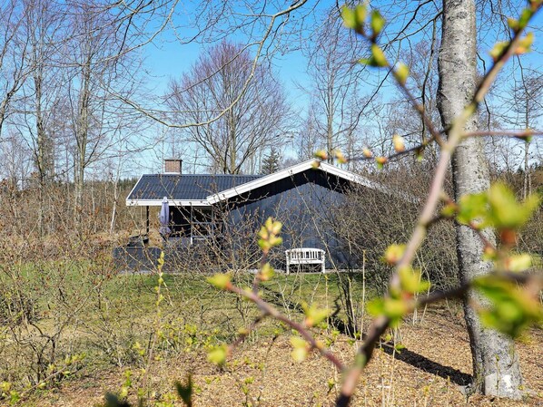 House | View from property