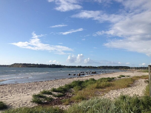 A beach with sand, grass, and a body of water. - 4 Star Holiday Home in Jaegerspris (Jægerspris)