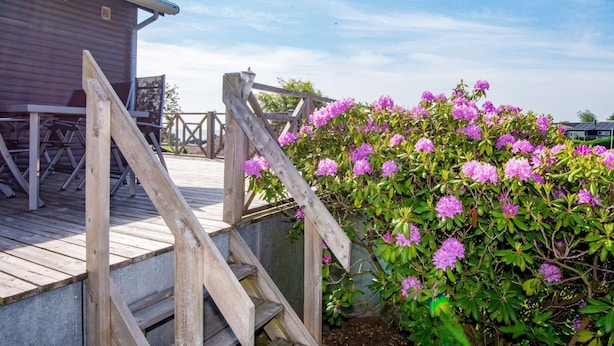 A wooden deck with a staircase leading to a building, surrounded by purple rhododendron bushes. - 5 Person Holiday Home in Hejls (Hejls)