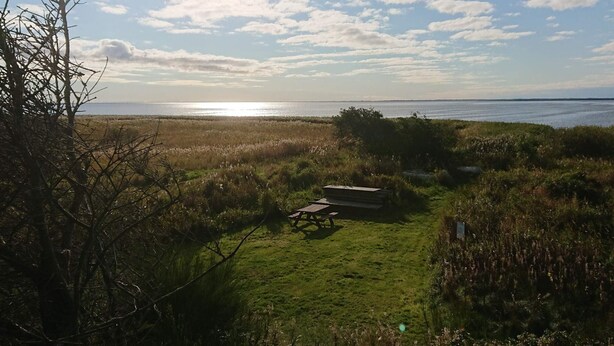 A grassy area with a picnic table and a view of the water. - 4 Person Holiday Home in Skjern (Skjern)