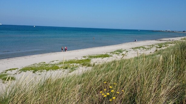 A beach with a clear sky, calm sea, and grassy dunes. - Holiday Home in LÃ¦sÃ¸ (Læsø)