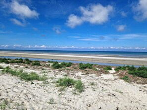 A beach with sand and sparse vegetation, a clear sky, and a calm sea. - Holiday Home in LÃ¦sÃ¸ (Læsø)