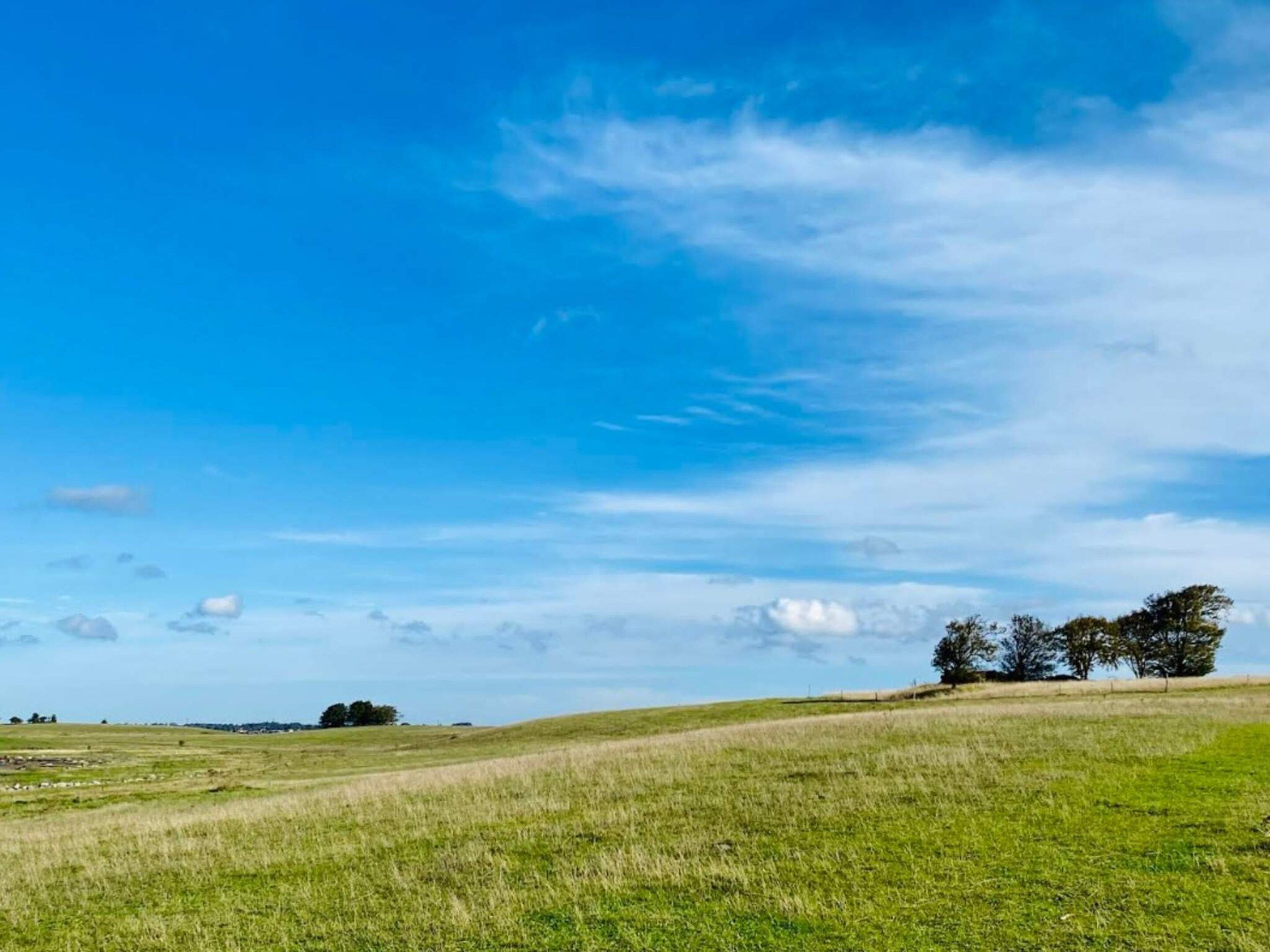 Un campo cubierto de hierba con cielo despejado y algunos árboles a lo lejos.
