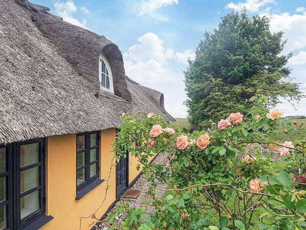 Casa | Vista da propriedade