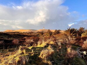 House | Miscellaneous