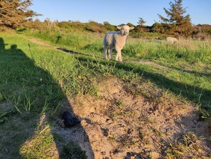 Casa | Imagen general