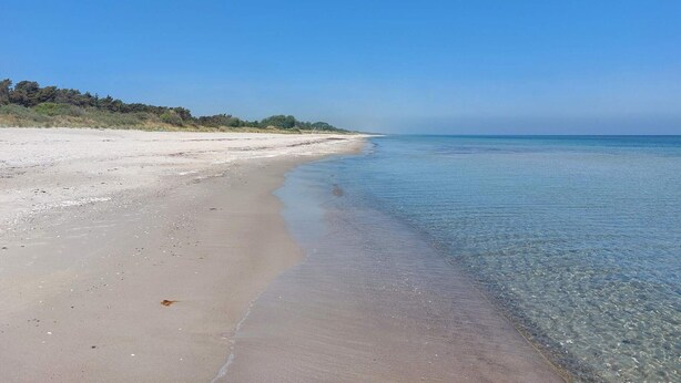 A beach with clear shallow waters and a sandy shore. - Holiday Home in VÃ¦ggerlÃ¸se (Vaeggerlose)