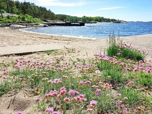 A beach with pink flowers and a rocky shoreline. - 4 Star Holiday Home in Stromstad (Stromstad)
