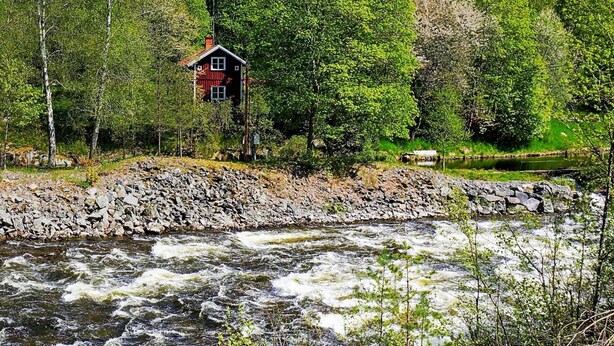 En hytte ved en flod omgivet af træer.