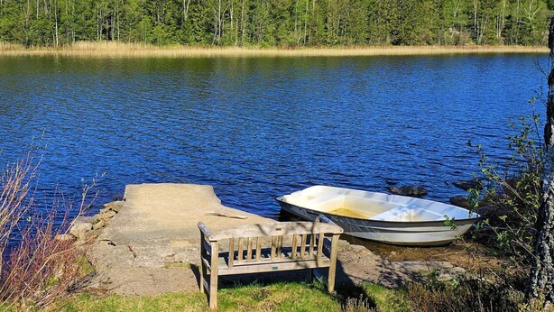 Un banc en bois et un petit bateau au bord d’un lac paisible, entouré d’une forêt dense.