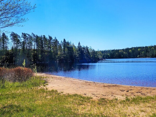 Vista desde la propiedad