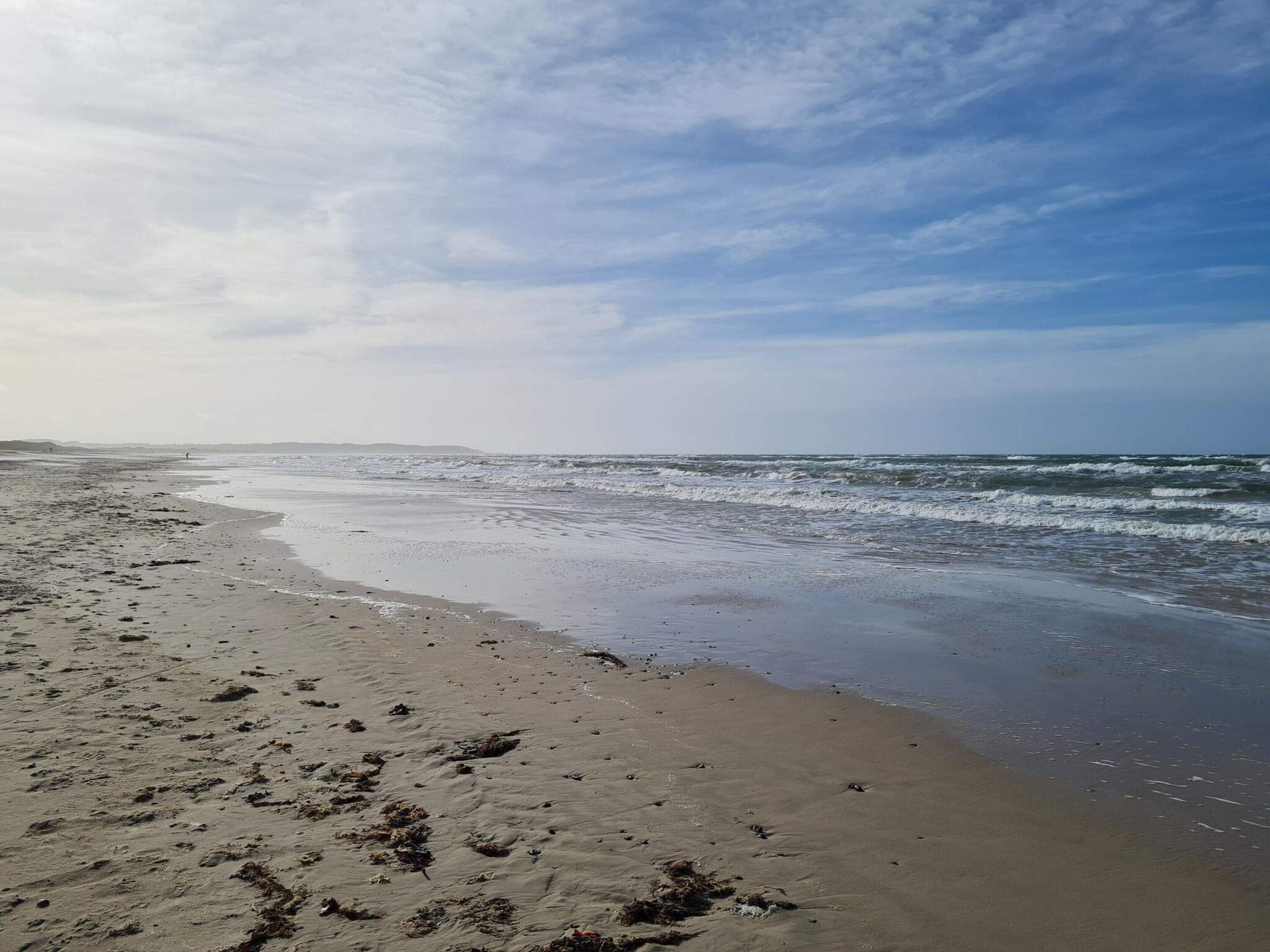 A beach with waves, a clear sky, and distant land.