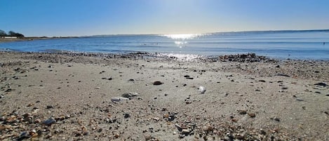 ハウス | ウォーター ビュー