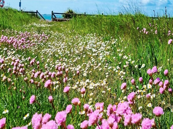 บ้านพัก | อื่นๆ