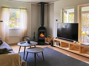 Fireplace, DVD player