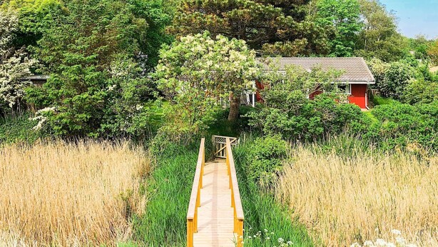 A wooden pathway leading to a red building surrounded by lush greenery and tall grasses.