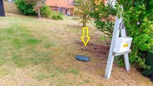 A yard with a small tree, a black circular object, and a utility box.