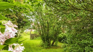 Ein üppiger Garten mit einem hölzernen Tor, dichtem Laub und einem Rasenpfad, der zu einem Gebäude führt.