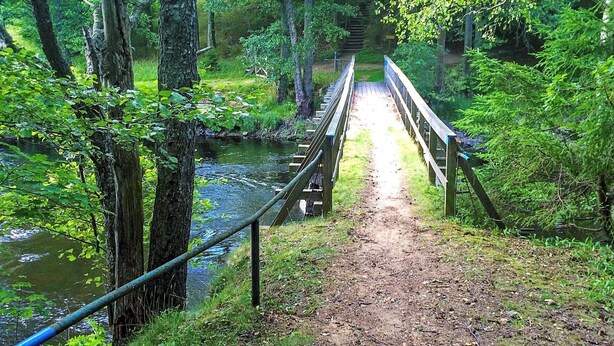 Eine Holzbrücke über einem Fluss, gesäumt von Bäumen und Grün.