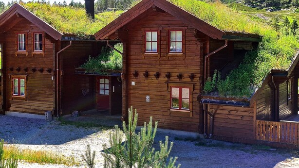 Exterior - 7 Person Holiday Home in Vrådal (Kviteseid)