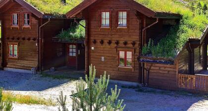 7 Person Holiday Home in Vrådal