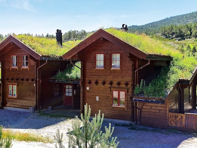 7 Person Holiday Home in Vrådal