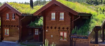 7 Person Holiday Home in Vrådal