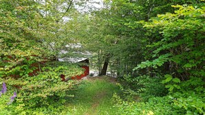 A red wooden cabin surrounded by dense green foliage and wildflowers.