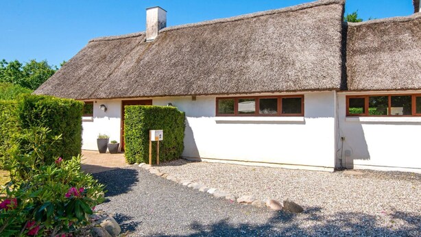A traditional thatched-roof cottage with a gravel driveway and a small garden area. - Holiday Home in Aars (Aars)