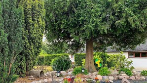 A garden with a large tree, a white building, and a gravel path. - Holiday Home in Aars (Aars)