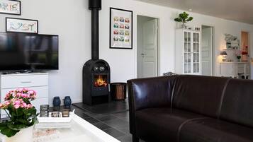 A living room with a fireplace, a sofa, a TV, and a cabinet.